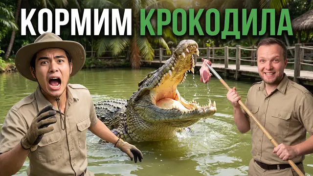 Превью «Сутки работаем смотрителями крокодилов» – профессиональный режим